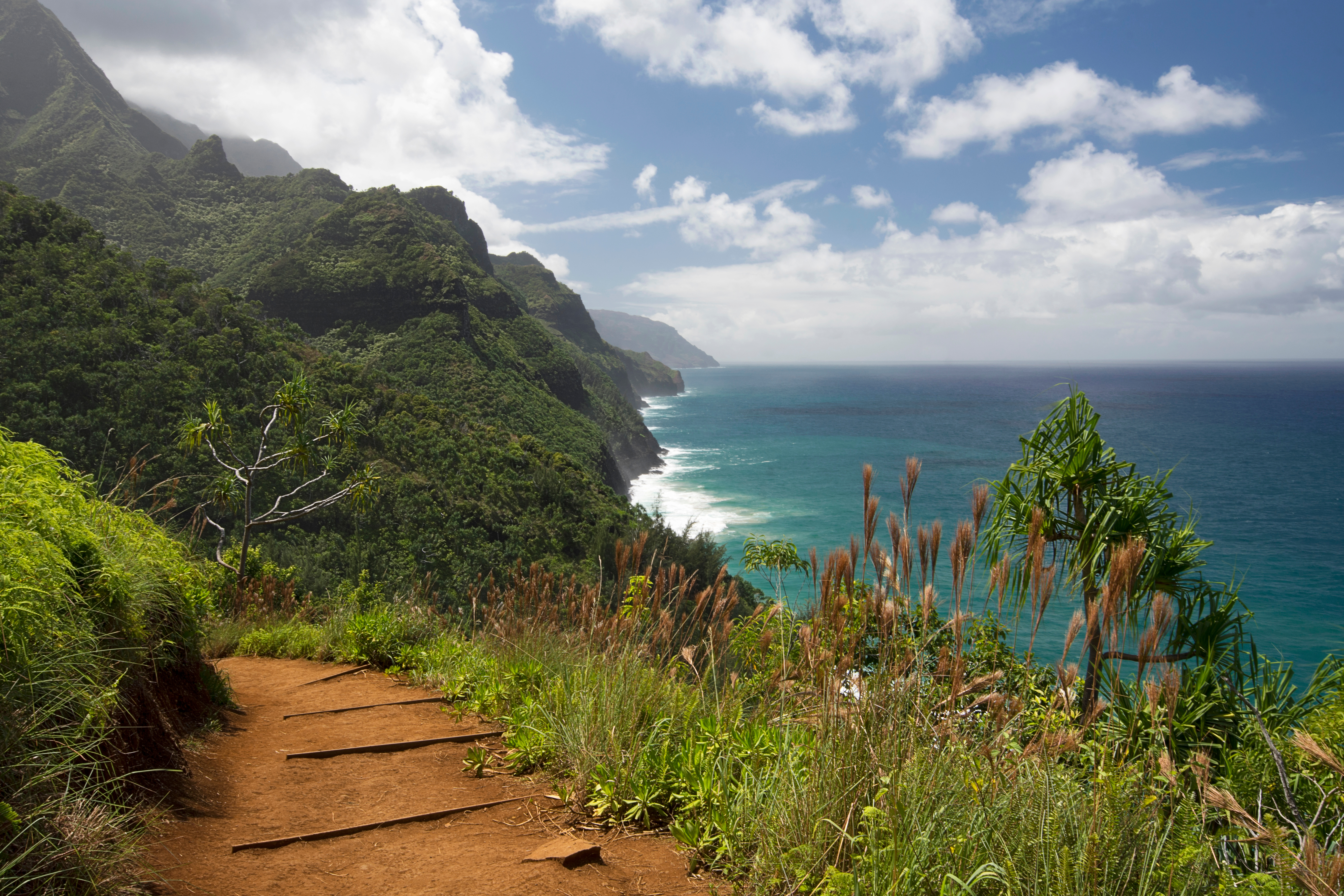 Fall25-Hawaii-Blog-Image-3