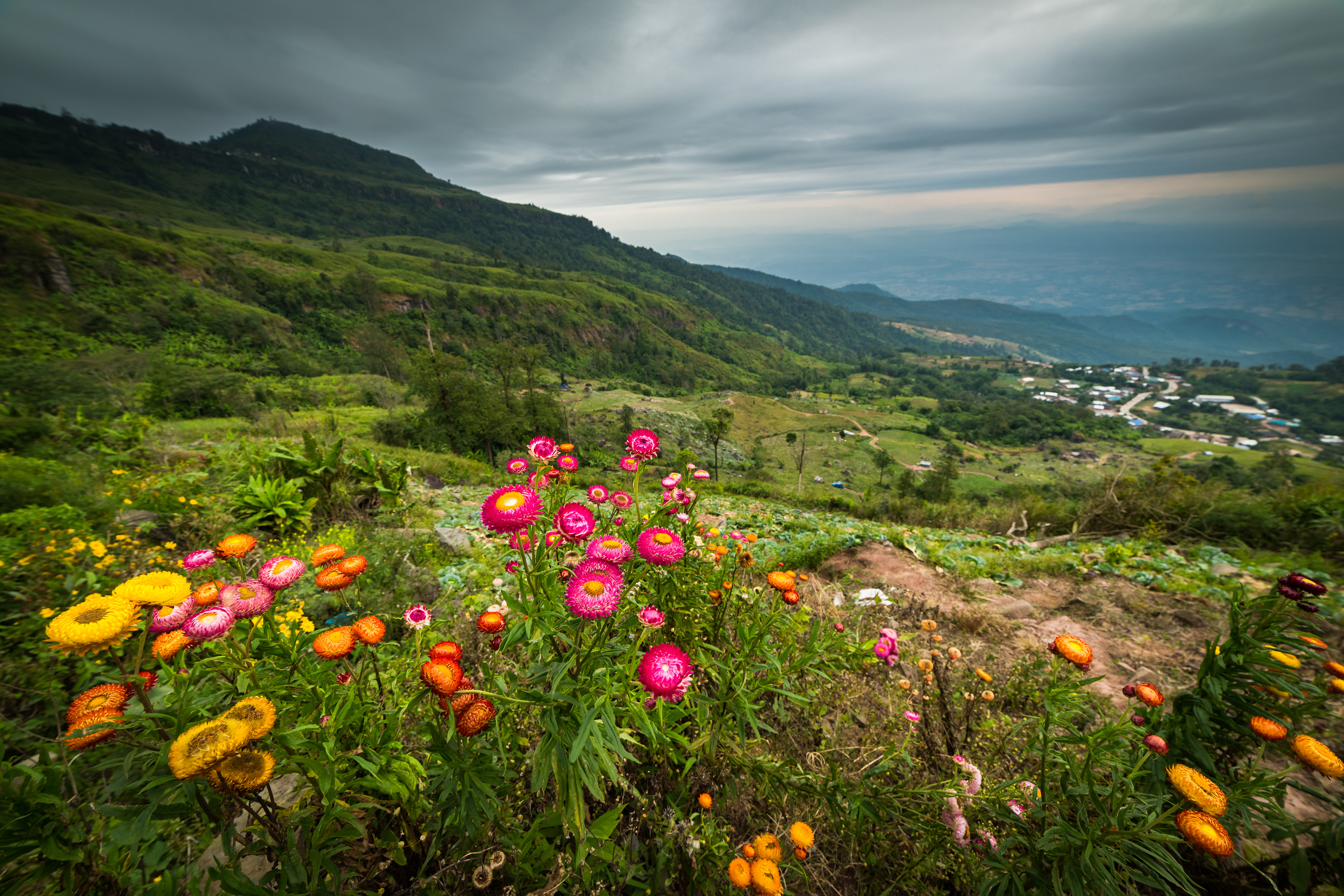 AAA-Now-Smoky-Mountains-Blog-2025-3
