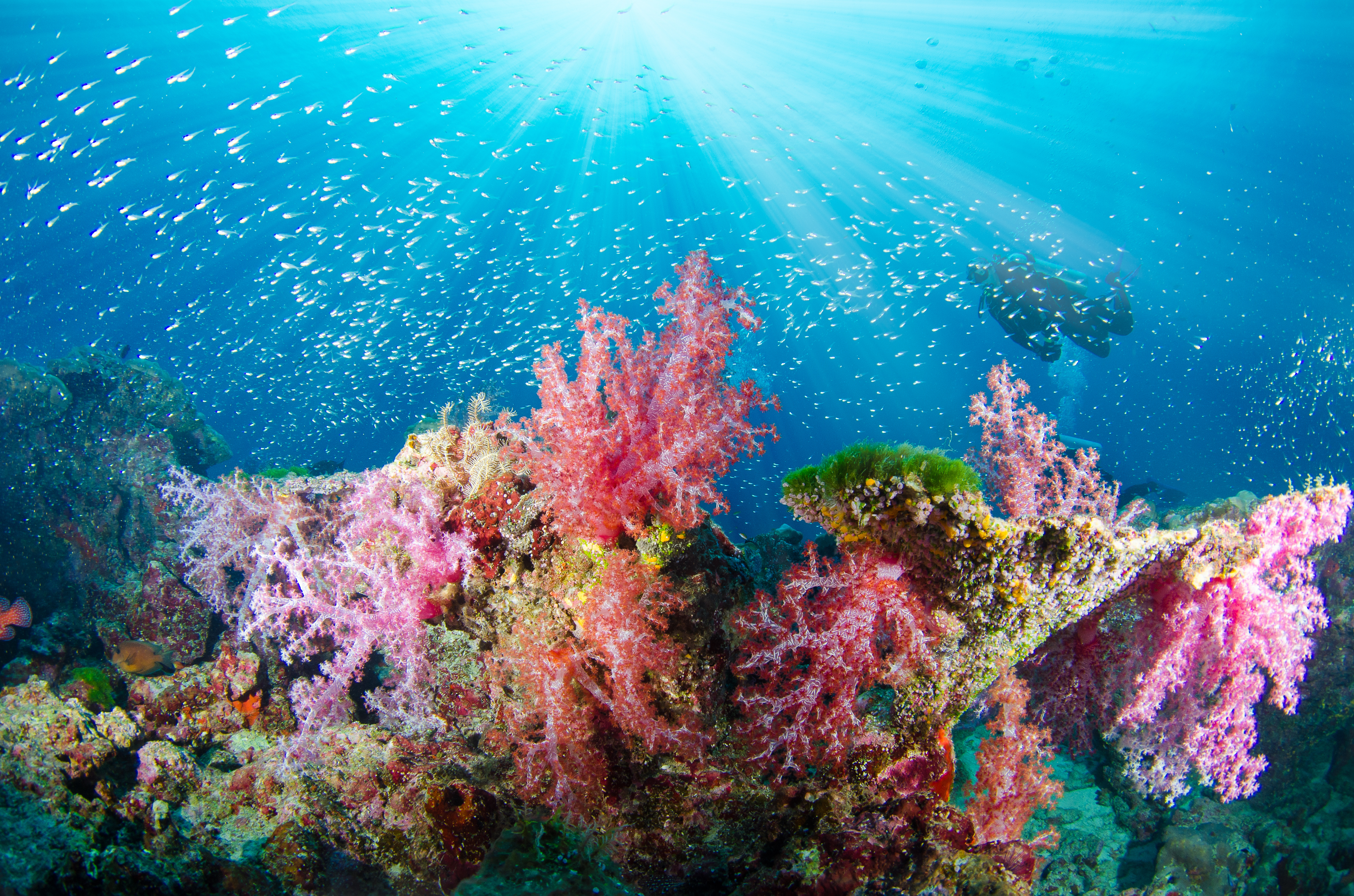 AAA-Now-Caribbean-Blog-2025-2