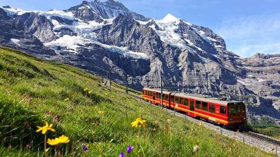 swiss-panorama-section