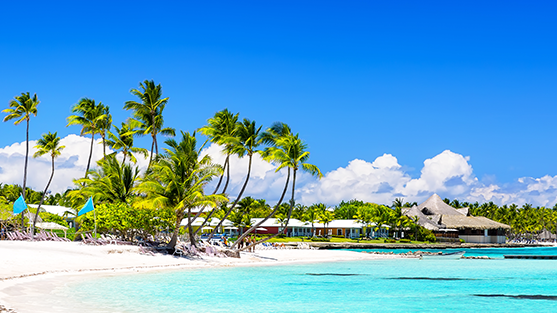 Punta-Cana-January-Section-Image-557x313