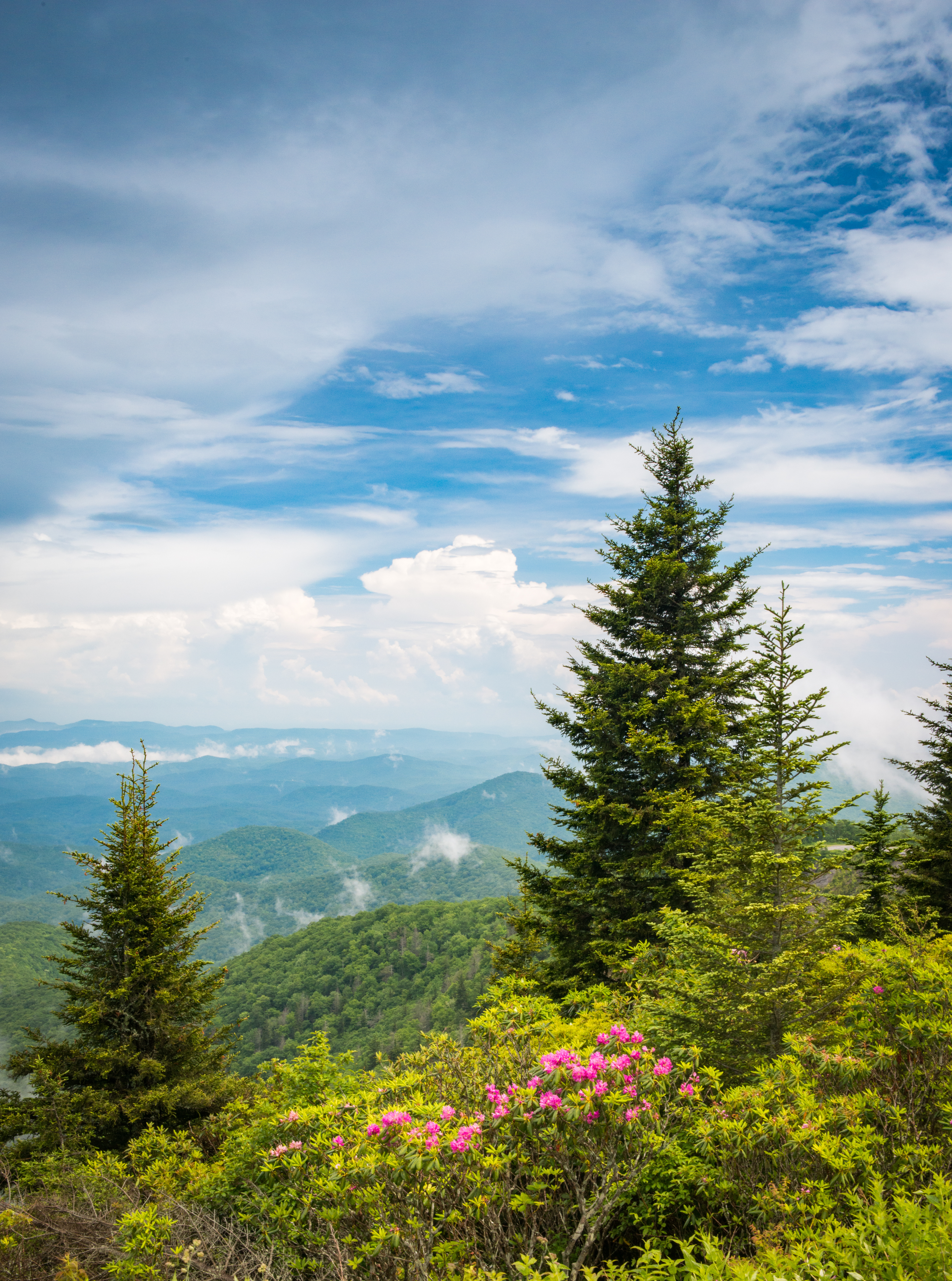 AAA-Now-Smoky-Mountains-Blog-2025-2