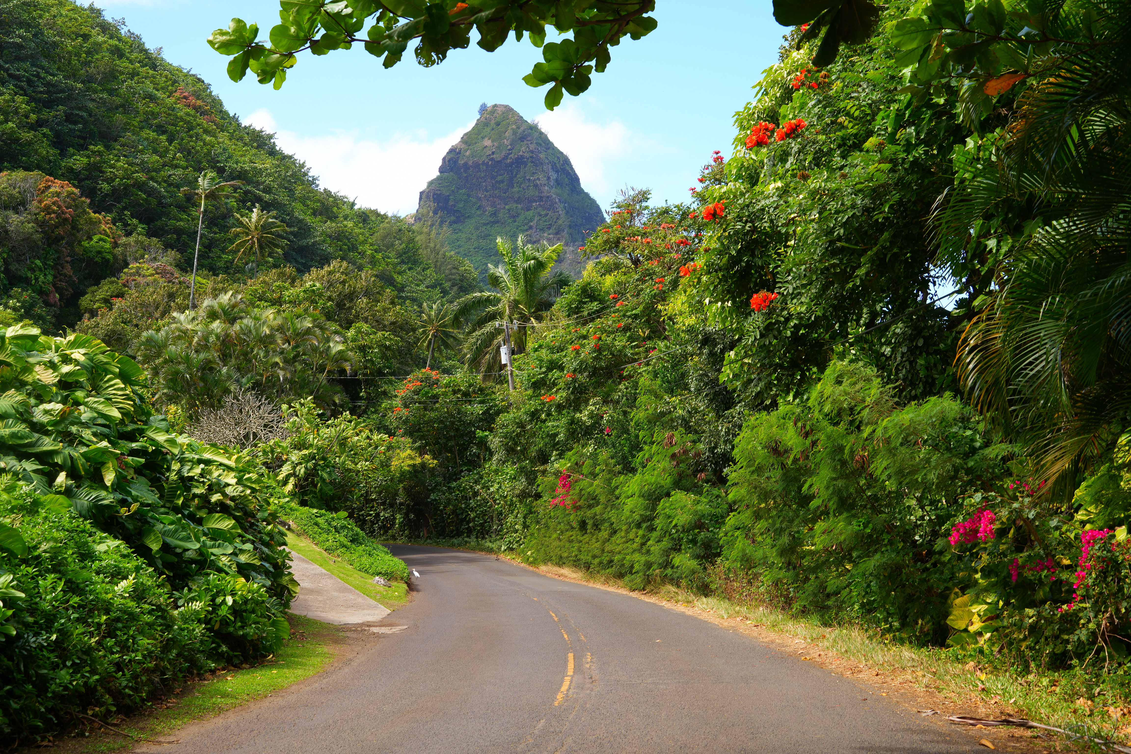 Fall25-Hawaii-Blog-Image-4