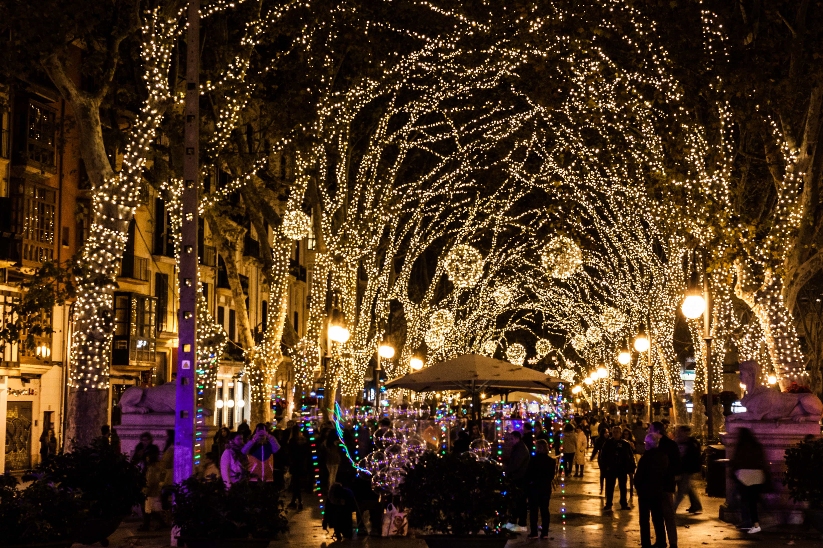 AAA-Now-Christmas-Blog-2025-1