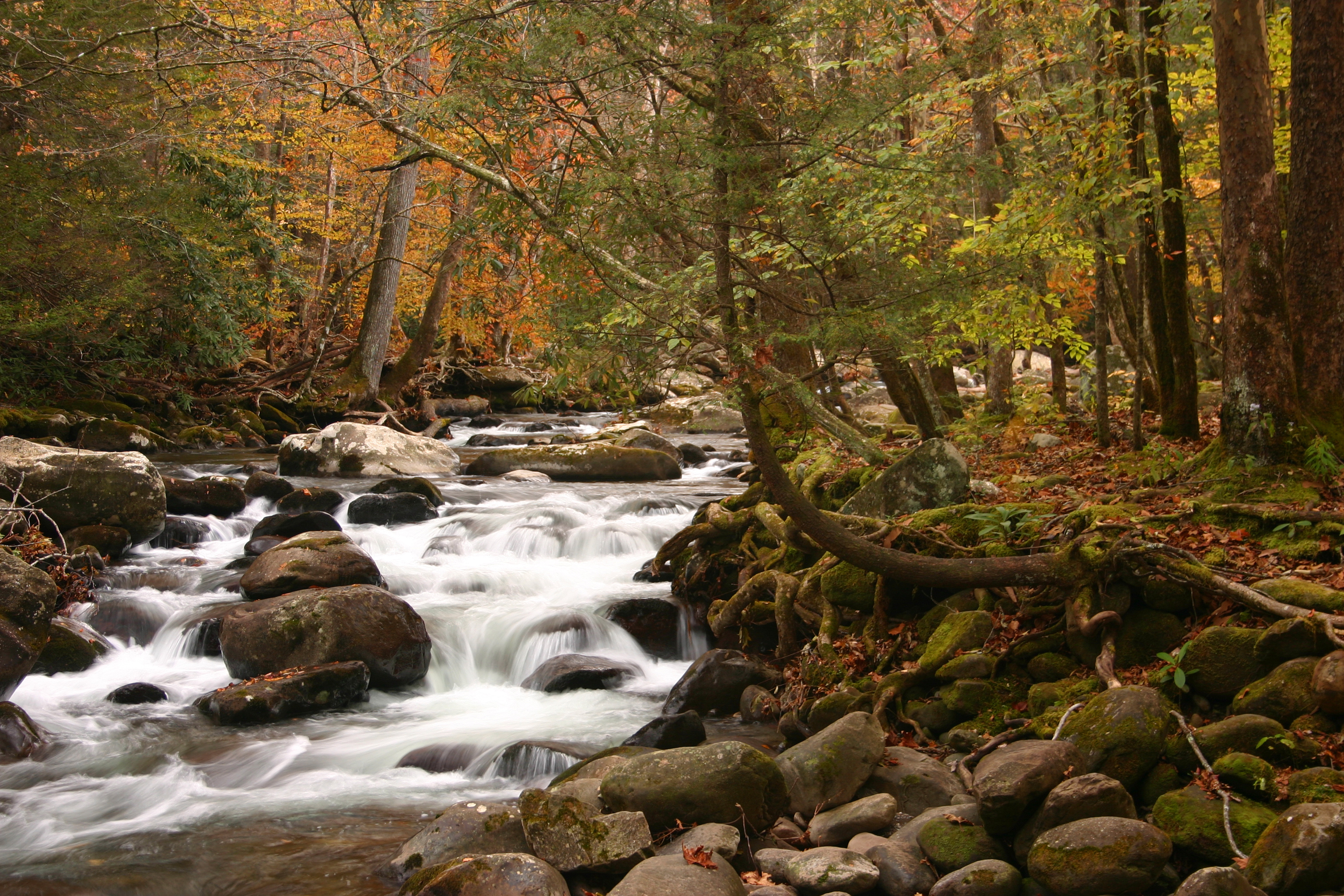 AAA-Now-Smoky-Mountains-Blog-2025-5
